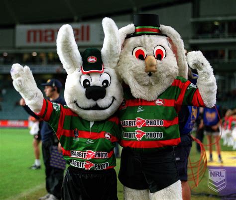 south sydney rabbitohs rugby shop